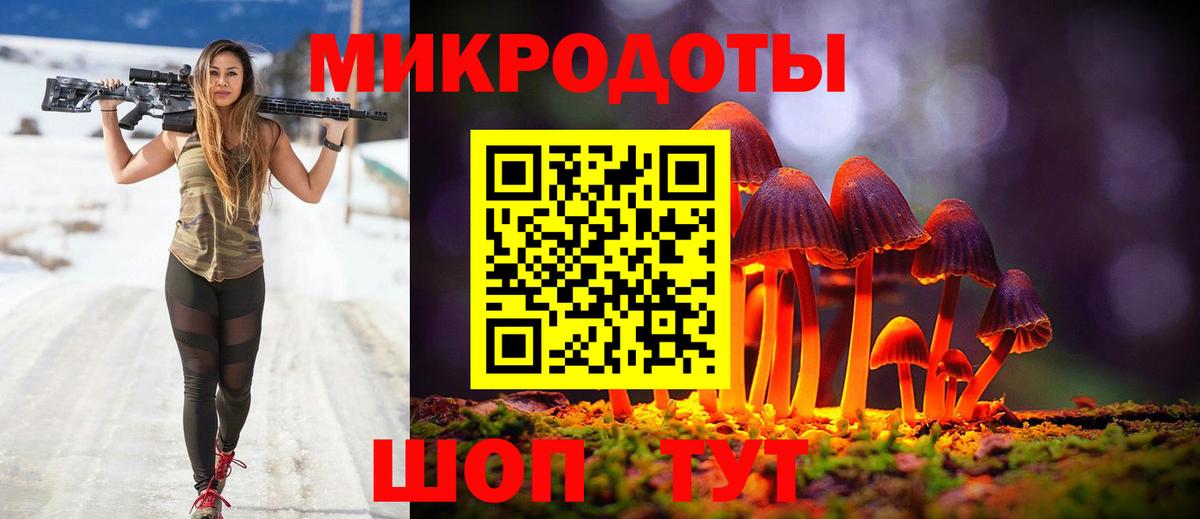 Галлюциногенные грибы Psilocybine cubensis Михайловка