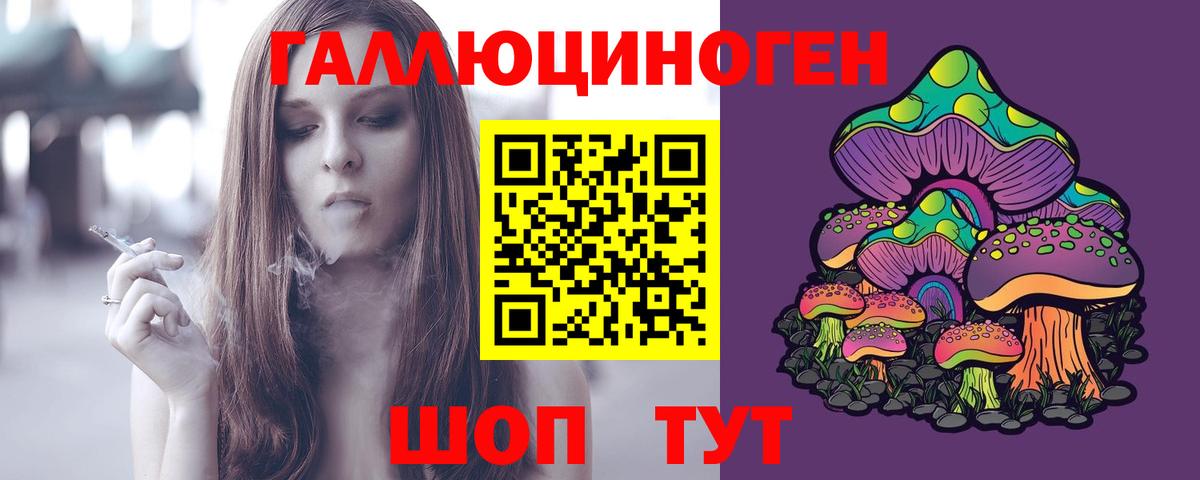 Михайловка  Галлюциногенные грибы MAGIC MUSHROOMS  Галлюциногенные грибы Psilocybe  купить закладку  Вход с VPN 